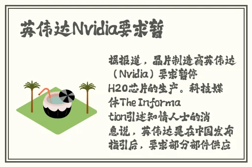 蘑菇短视频在线观看完整版